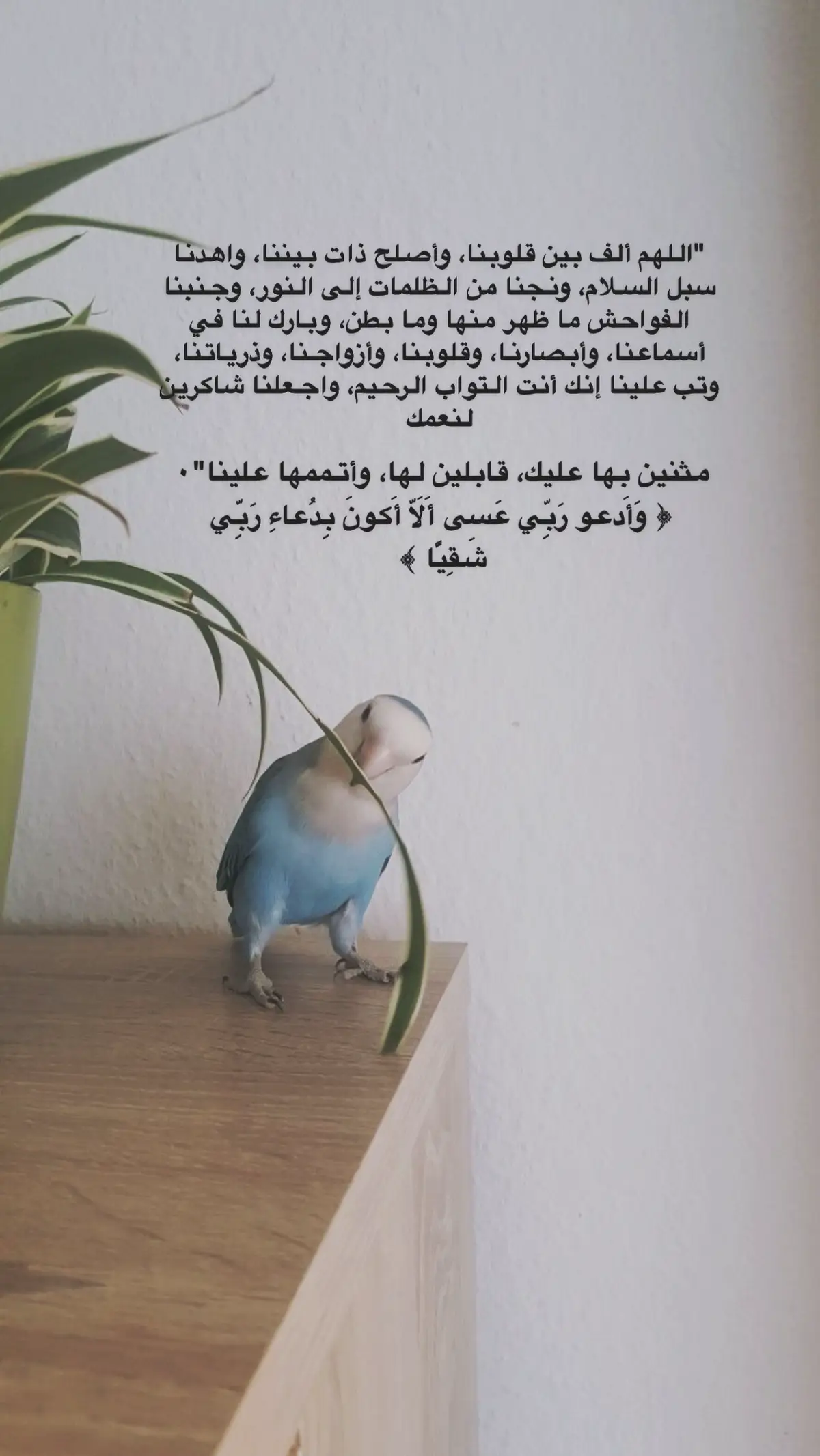 امين 🤍🤍#fypシ 