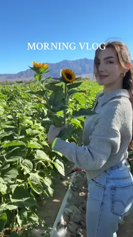 Happy Saturday!! 🥰🌻 had the best morning with the best family! #morningvlog #spendthemorningwithme #sunflowerpicking #sunflowers #mothersday #cheescakefactory #morninginmylife #fyp #foryou #viral #trending #familytime #gilcreaseorchard #sunflowerbouquet 