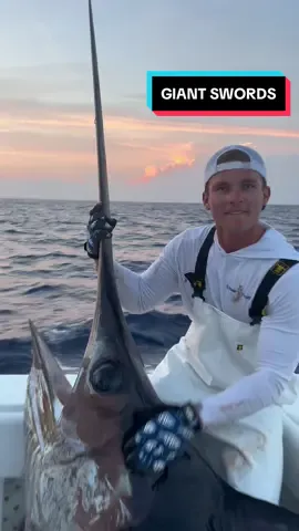 Had to make a long one for Swords. Follow the insta link in bio for more. Tiktok no swordfish were harmed in this video. They were all safely released healthy. #Lyonfish #florida #swordfish #fishing #deep #animals #wildlife #fish #fishing #fishtok #snapper #grouper #shark 