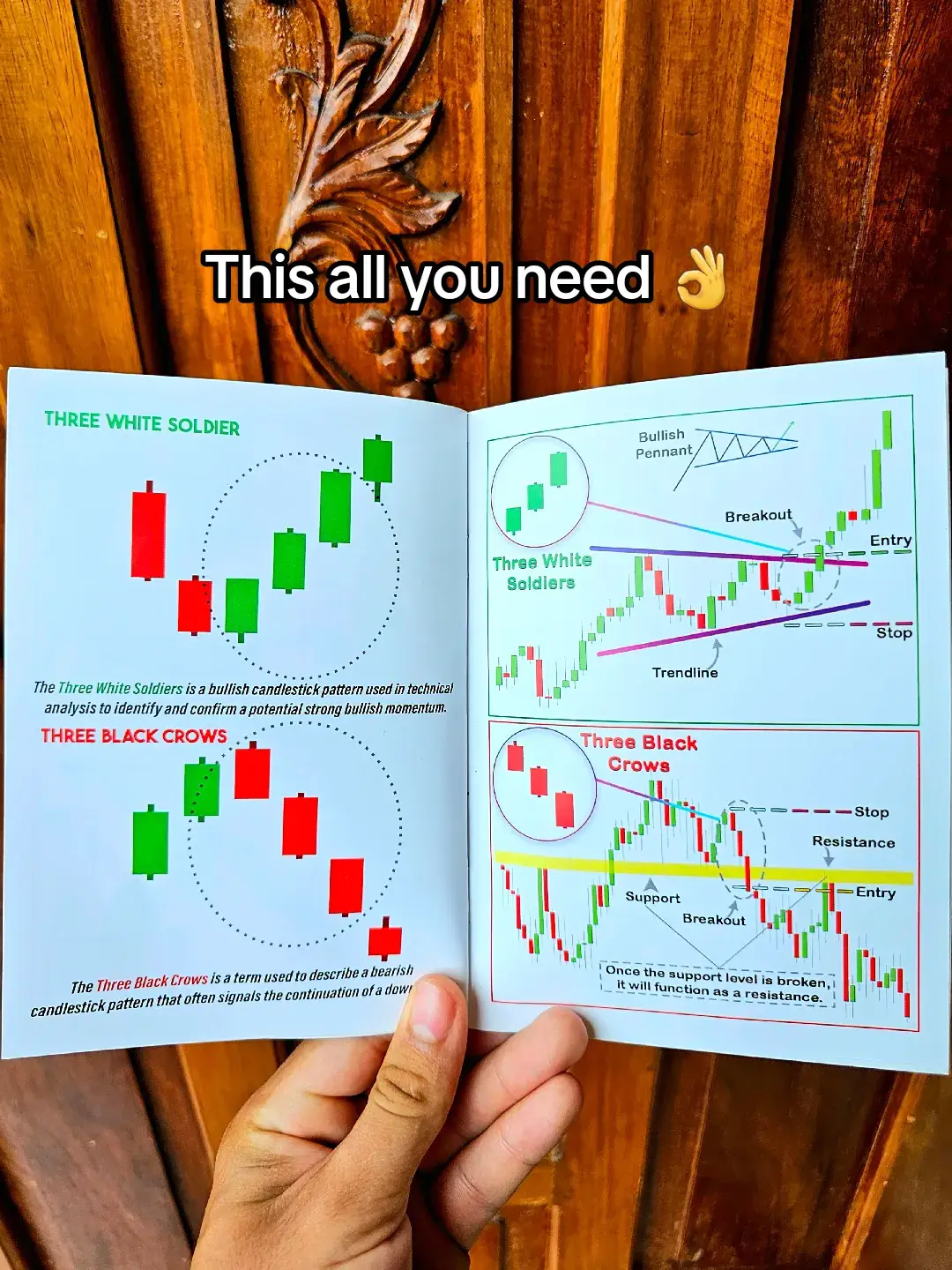 The most advance and latest trading book for technical analysis of chart + Candlestick Patterns on forex, crypto and stocks 📚📈 #fyp #tradingbook #book #technicalanalysis #business #forex #sidehustle #patterns #trading 