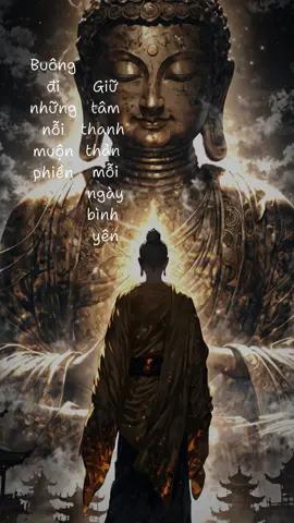 Nam Mô A Di Đà Phật. Buddha. Con đường giác ngộ. #nammoadidaphat #buddha #buddhism #phatphap #top #xuhuong #trending #trend 