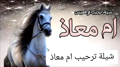 شيلة ترحيب ام العريس باسم ام معاذ 2024 #شيلة_ترحيب #شيلة_ترحيب #ام_معاذ #شيلات_ترحيبيه #ام_معاذ #ام_العريس #اكسبلور 