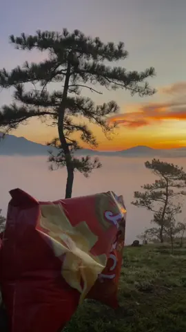 Chợt nhận ra mình có hẹn với săn mây Đà Lạt #sanmaydalat #dalat #doidaphu #dalatstory 