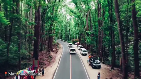 Piliin mo ang Pilipinas (my bohol trip) entry 😁🫣 #piliinmorinangpilipinas 