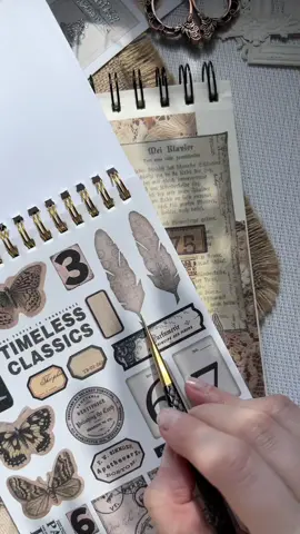 Vintage book theme🪶 #скрапбукинг #scrapbook #junkjournalideas #asmrscrapbook #aestheticjournal #journalingideas #sticker #vintagejournal #vintage #stickerasmr 