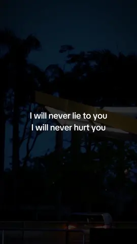 I will never lie to you…#Love #fyp #lovequotes #Relationship #foryou #viral #TrueLove #loveyou 