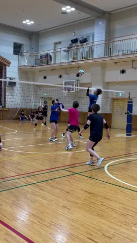 #東京スリジエ #tokyocerisier  #千代田区地域密着型バレーボールチーム  #バレーボール #sports #volleyball  #haikyuu #ハイキュー #japan  #f #fyp #fypシ #スポーツ #longervideos#volleyballgirls #バレー女子 