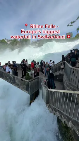 Switzerland Vlog: Rhine Falls - Europe's biggest waterfall in Switzerland. The Rhine Falls is a waterfall located in Switzerland and the most powerful waterfall in Europe.The falls are located on the High Rhine on the border between the cantons of Schaffhausen and Zürich.    #travel #traveltheworld #travelswitzerland #traveleurope #switzerland #myGrandtraintour #swisstravel #grandtraintour #travelstamps #traveltips #budgetarian #giftoftravel #switzerland #rheinfalls #rhinefalls #schaffhausen #swiss #schweiz @@gemma_ahmej01 @Queen_Mausi 
