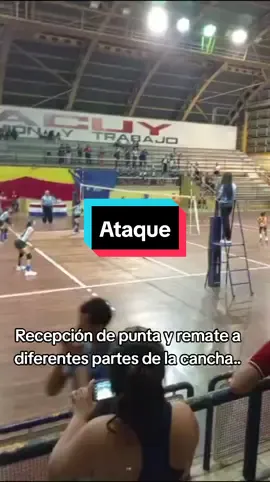 Excelente trabajo el realizado, esto se logra con mucha disciplina y constancia.. #volleyball #Viral #voleibol #venezuela #disciplina 