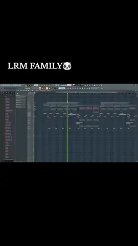 LRM FAMILY🐼#TNDLRM #2024 #หลี้นแผ่นเสียงโอน2พัน @Sek Lao-Remix 