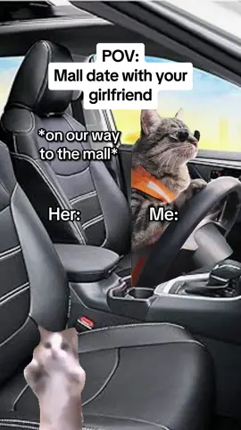 Mall with your girlfriend #catmemes #realatable #Relationship #couple #boyfriend #girlfriend 