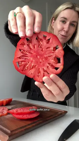 i had no idea my sweater was so hairy IM SORRY IM CLEANING IT NOW #heirloomtomatoes #tomatoes 
