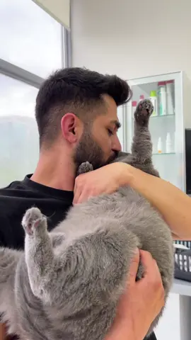 kilolu değil kemikleri iri🥹 #kedi #kediler #kedilerim #kedilerrr #kedilerrrrr❤️ #cat #catsoftiktok #kedilerindünyası #kedilerisevin #kedilerindunyasi #kedilervadisi #veterinerhekim #veteriner_hekim #veterinarylife #veterineria #veterinerlik #veterinerhekimi #veterinerhekimlik #canlilar #canlılardünyası #canlılar #hayvanlarisevelim 