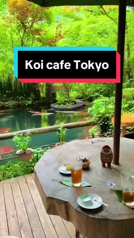 Có 1 Tokyo lạ hơn bạn nghĩ  #japan #tokyo #dulich #travel #creig 