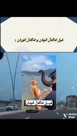 🙂😂#slemani #hawler #dhok #karkuk #foryou #fyp #کۆمێدی #kurdish_comedy #povkurdish #فیل #لەگەڵ #کچ #کوڕ 