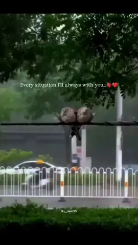 🫱🏻‍🫲🏼☺️❤️💯🥺