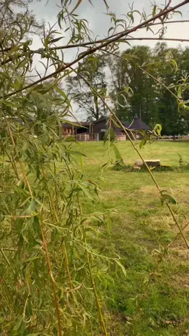 ✨🌿HÉBERGEMENT INSOLITE | CABANE À L’OMBRE DES CHARMES🌿✨ ❤️C’est l’histoire d’une belle rencontre. La notre avec Candice et Romain, deux personnes comme il en existe peu : humaines et authentiques qui nous ont invité à découvrir leur univers dans leur @cabane.alombredescharmes  Dans cette cabane au beau milieu de la nature ardennaise, Candice et Romain ont mis tout leur cœur et toute leur âme pour partager avec nous leur mode de vie, nous inviter à savourer et s’émerveiller des choses simples : allumer un feu 🔥, faire de la balançoire, écouter le chant des oiseaux 🕊️, regarder le vent faire danser les arbres 🌳 ou encore profiter d’un bain nordique sous la pluie 🌧️  🛖Cette cabane avec son sauna, son bain nordique et son kota finlandais invite à un réel moment de déconnexion (d’ailleurs ne cherchez pas le réseau, il n’y en a pas). L’occasion de prendre son temps, se mettre sur pause et se ressourcer.  🐂🚜Ce que je n’ai pas encore dit, c’est que Candice et Romain sont exploitants agricoles, ils ont une ferme à taille humaine où ils élèvent avec beaucoup de bienveillance des vaches Parthenaises. Ils ont leur propre laboratoire de transformation pour pouvoir proposer leur viande en vente directe et en repas à la cabane !  J’aurais encore mille choses à vous dire sur Candice et Romain mais le mieux c’est de vous abonner à leur compte @cabane.alombredescharmes et d’échanger avec eux directement 😉 ✨Et pour ceux qui sont arrivés jusqu’ici, une méga surprise !! Un code promo de 15% à utiliser avant le 15 mai, pour tout séjour réalisé qu’importe la date : CHRONIQUES15  C’est le moment de planifier un week-end en amoureux pour cet été ou pour l’anniversaire de votre chéri.e❤️ ————————— Publication sous partenariat commercial non rémunéré.  #ardennes #ardenne #visitatdenne #insolite #hebergementinsolite #nature #slowliving 