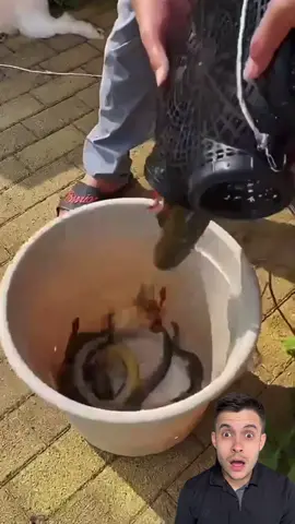 Fishing videos 