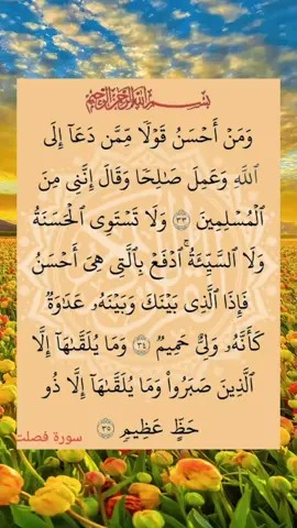 #ألابذكرالله_تطمئن_القلوب  #القران_الكريم سورة فصلت 