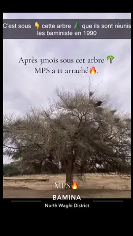 #beribourdumonde🇵🇸🇵🇸🇷🇴🇷🇴🤴🤴🏅 