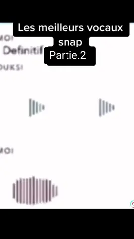 un classique de Bassem. #snap #vocal #drole #bassem #laroueelletourne 