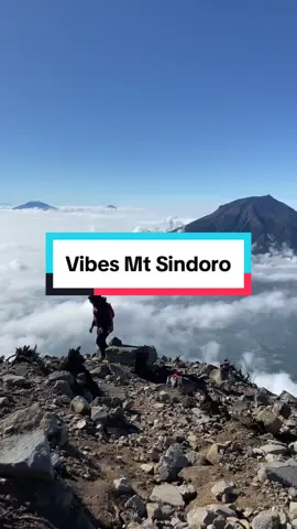 Lautan Awan di jalur menuju Puncak Mt Sindoro #sindoromountain #alangalangsewu #mountain #fyppppppppppppppppppppppp 