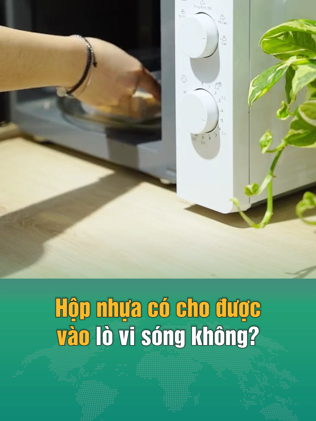 Hộp nhựa có cho được vào lò vi sóng không? #amm #soha #sohahome #LearnOnTikTok