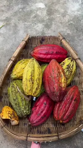 #oddlysatisfying #satisfying #satisfyingvideo #fyp 