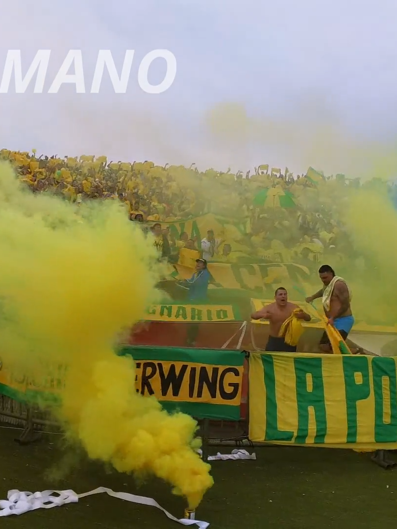 ESTA ES, LA CUMBIA DE LOS TRAPOS 💛💚  #bucaramano #bucaramanga #atleticobucaramanga #fyp #santander #fpc #colombia #futbol 