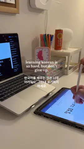 ”꿈이 있다면 절대 포기하지 마세요“ “if you have a dream, never give up”  #korean #learnkorean #southkorea #topik #topikexam #한국어 #한국어공부 #languagelearning #studygram #한국 #studykorean #추천   