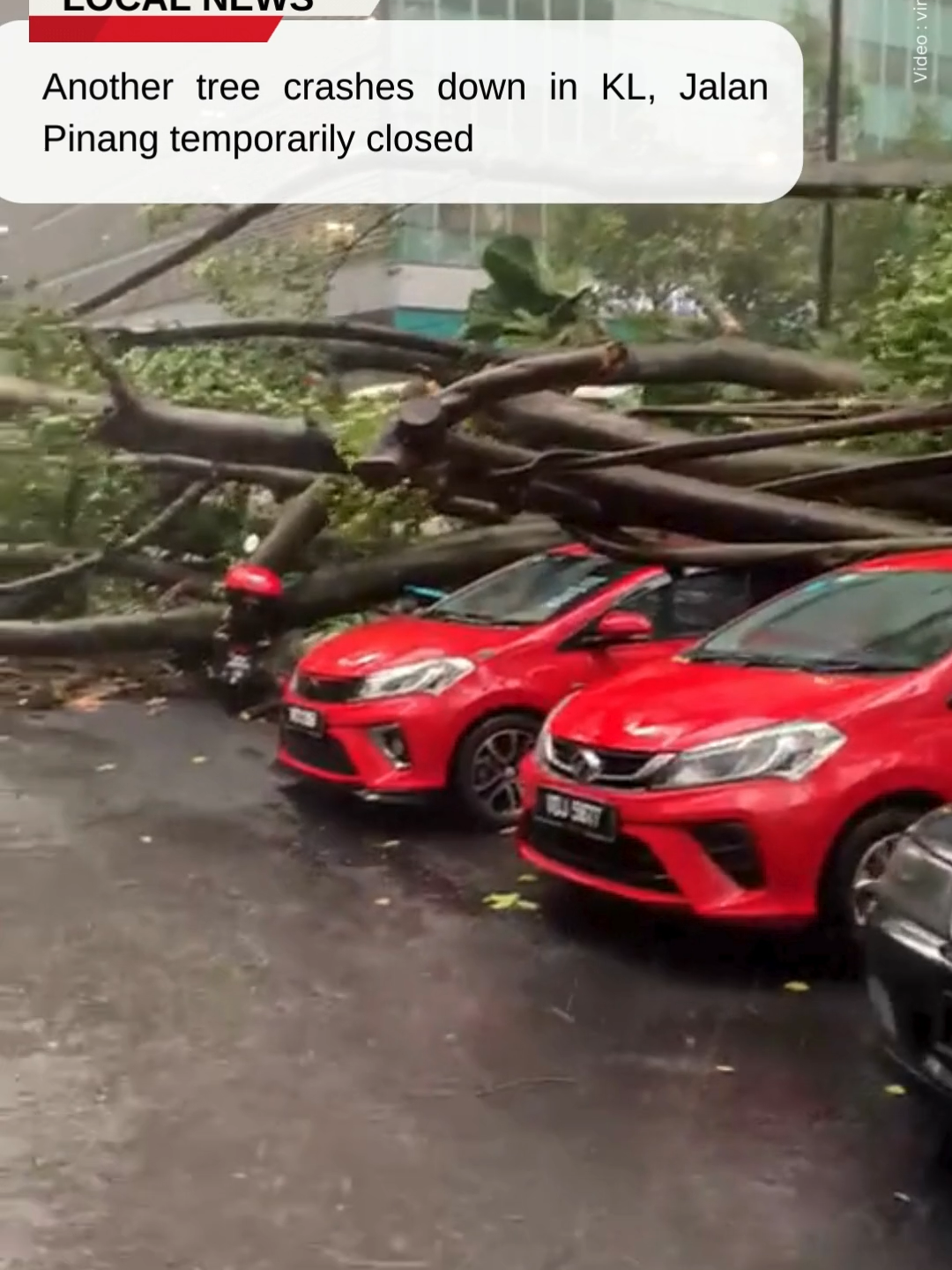 13 Mei 2024: KL Traffic Woes Continue as Another Tree Falls, Jalan Pinang Shut Down Again. #theSun #news #newsmalaysia #fypシ゚ #kualalumpur #treefall #viralvideo