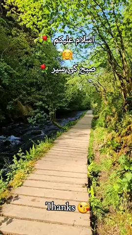 @London @❦︎༄🦋🅐︎ Ⓚ︎🅗︎Ⓐ︎🅝︎🦋࿐ @Anmol log💓 #goodmorning 