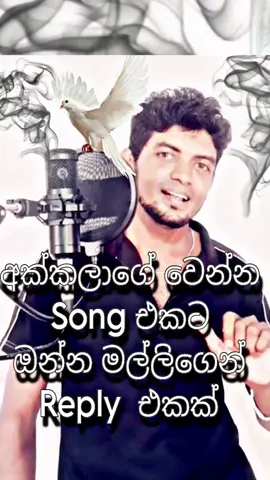 අක්කලාගෙ වෙන්න/ song එකට මල්ලිගෙන් Reply එකක්/ඒ රූපෙට මං බාල උනත් ආස නිසා @nadeeradilshan455 #Tiktok#Tranding#viralvideo#akkalagewenna#foryou#song#newsong##Trandingsong#nadeeradilshan#sinhala #srilankan_tik_tok🇱🇰 
