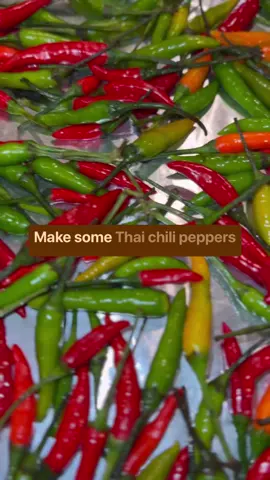 The smell alone was exciting. Stay tune to see how this turns out.  Directions: Soak your peppers and strain Place on baking sheet in oven on 170 for about 8-10 hours Store in a sealed container and store.  I will be making more things. 