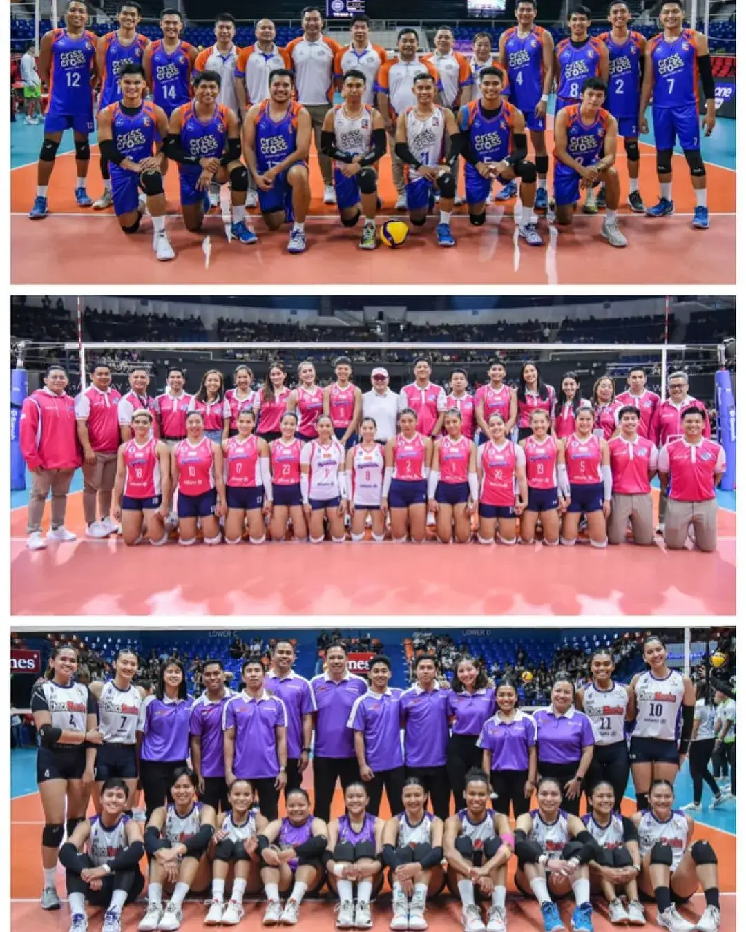 [ ctto ] Three Teams. One Rebisco Family 🫶🏻 sarap maging taga-Rebisco 💖💜🧡 #CreamlineCoolSmashers  #ChocoMuchoFlyingTitans #CrissCrossKingCrunchers #fyp #finalsteam #fyppppppppppppp