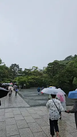 Two bows, two claps 🙏 and make a wish. Finish with a bow. Kamakura Buddha, over a thousand years history.  #Buddha #japan 