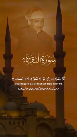 #CapCut #القران_الكريم #واذقلتم_يموسى_لن_نصبرعلى_طعام_واحد #foryou #foryoupage #tiktok 