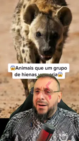 Animais que um bando de hiena venceria #animais #natureza #bio #biologia #biologo #biologa #biologicas #ciência #animal #zoo #zoologia #ecologia #bichos #bicho #vocesabia #curiosidades #explorar #biologohenrique #faunasilvestre #meioambiente O canal é apresentado pelo Biólogo Henrique para a divulgação científica, visando traduzir a linguagem científica para que qualquer pessoa possa entender os avanços da ciência, principalmente sobre as ciências biológicas. No canal do YouTube Biólogo Henrique - o Biólogo das Cobras exibe a biologia das Serpentes de maneira inusitada, abordando temas em defesa da Ciência, combate à pseudociência, defesa do profissional Biólogo, do meio ambiente, preservação da natureza, educação ambiental, zoologia, ecologia e cultura nerd.