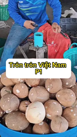P1: Trôn trôn Việt Nam #xuhuong#tiktok#trending#troll#kechuyen#fypシ゚viral 