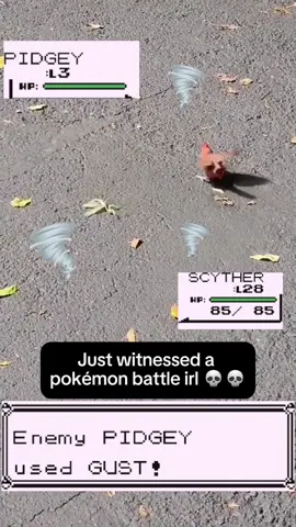 Pokémon battle irl 💀 #pokemon #pokemongo #Pokémon #fyp #memes #fypシ゚viral 