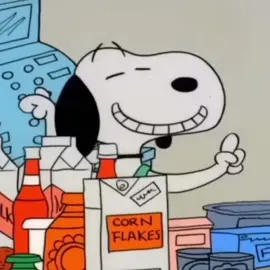 Snoopy would’ve loved Faye Webster #snoopy #snoopyedit #thepeanuts #fyp #fypp #viral #virall #_threeholepunchjim 