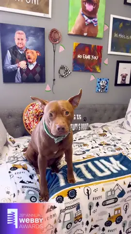 Fanks to every buddy who helped wif my speech for @The Webby Awards you can see the evening on their Instagram