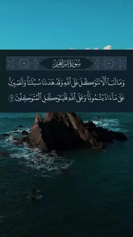 وَمَا لَنَا أَلاَّ نَتَوَكَّلَ عَلَى اللهِ وَقَدْ هَدَانَا سُبُلَنَا #قران_كريم #quran_alkarim #قران #quran #muhammaddibirov_official 