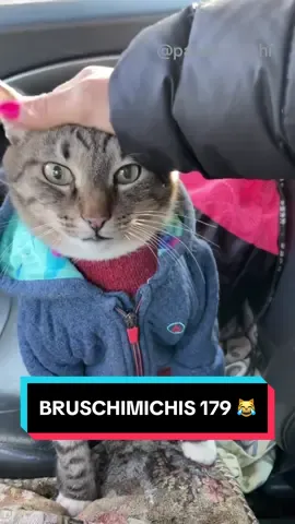 BRUSCHIMICHIS 179 😹❤️🐈 #comedia #humor #viral #fyp 