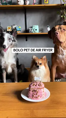 RECEITA BOLO PET 🥮 Massa: 2 bananas amassadas;  2 ovos;  3/4 xic de farinha de aveia;  Meia cenoura ralada. ➡️ mexe tudo e coloca na airfryer por 15min a 180°C 🎂 Cobertura: Meia batata doce;  1 copo iogurte natural;  Suco de beterraba;  ➡️ cozinhe a batata doce e amasse até virar um purê, adicione o iogurte natural, mexa bem, vá adicionando o suco da beterraba aos poucos até chegar na cor que você quer. #luludapomerania #maedepet #pitbull #bordercollie #cachorro #doguinho #bolopet #receitapet 