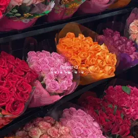 ပန်းပွင့်#flowerlover#fyp#foryourpage #fypシ゚viral #tiktokmyanmar #view #hsupvt #တွေးပြီးမှတင်ပါ #flower