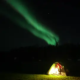 Camping under the aurora borealis It was truly magical night camping in Alaska. The dancing lights swirled and flickered with an otherworldly energy, casting a mesmerizing glow that left us in awe of celestial ballet. This moment will forever ingrain in my mind. #northernlights #aurora #auroraborealis #travelwbobby #travelphotography #alaska 