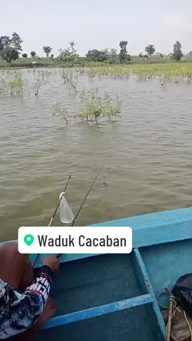 #mancingmaning #wadukcacaban  #mancingmania 