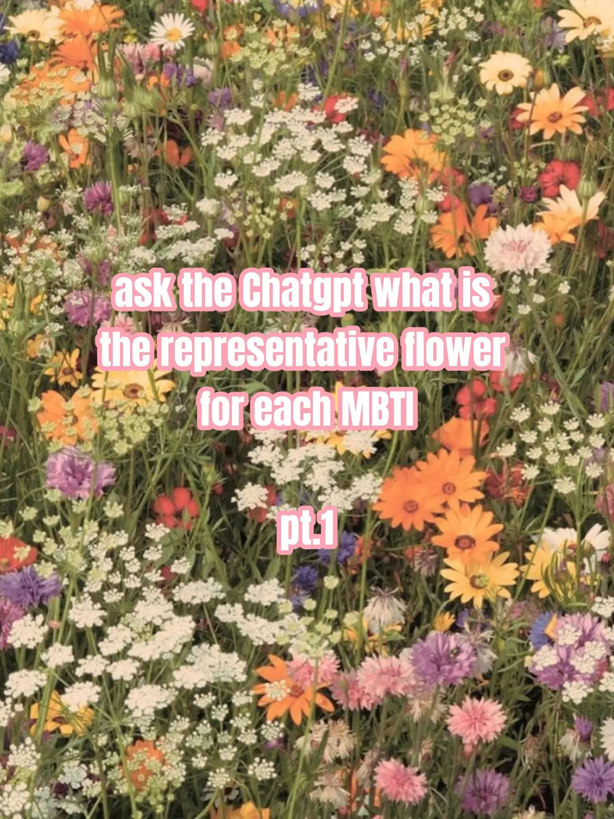 ask the Chatgpt which is one the flower for each of the MBTI what's yours? it is suit you?  (introvert team)  #personalitytypes #mbtipersonality #mbti #16personalities #istj #isfj #intj #infj #istp #isfp #infp #intp 