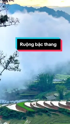 P143. Ngắm Ruộng Bậc Thang, mây với dẫy núi hoàng liên Sơn tuyệt đẹp #xuhuong #ruongbacthang #capcut #sapa #vietnam #khosiab 